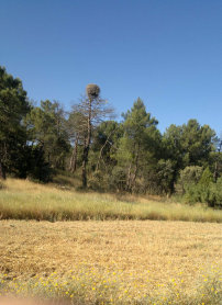laaguilera008013.jpg